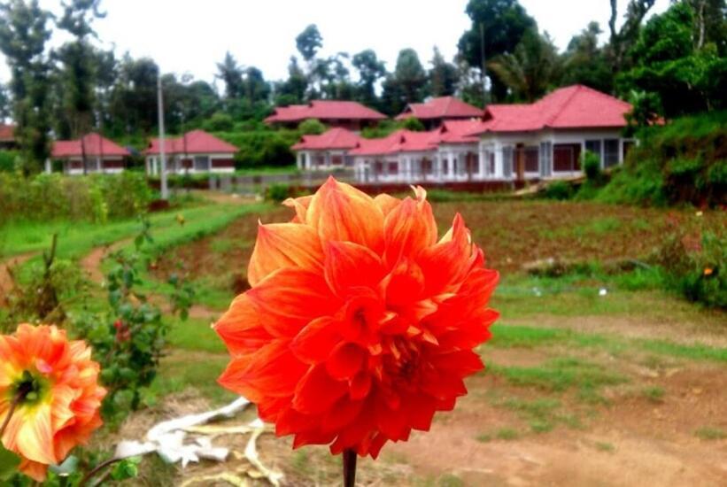 Himani Heritage Resorts, Formerly Camp Nishani Holidays Мадикери Экстерьер фото